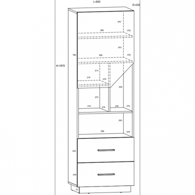 Lentyna PAX-17 5